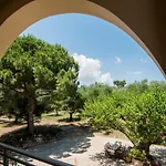 Paradise Vezal 4* Laganas