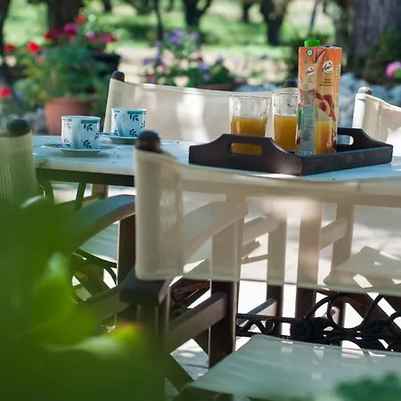 Paradise Vezal Λαγανάς