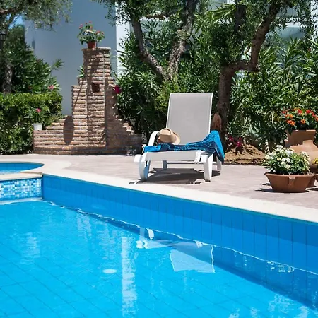 Paradise Vezal Λαγανάς