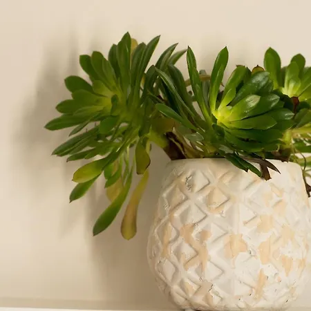 شقة فندقية Paradise Vezal 4*