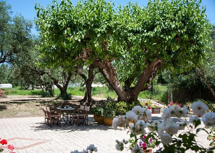Paradise Vezal