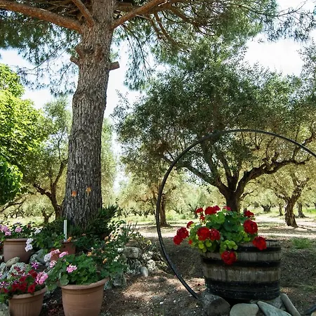 Paradise Vezal 4* Λαγανάς