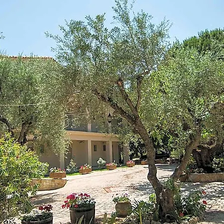 Paradise Vezal 4*