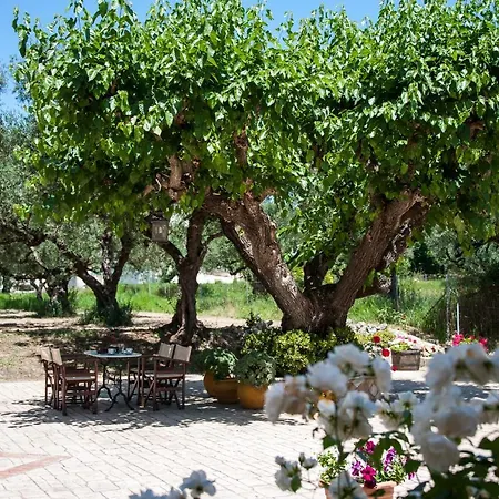 Paradise Vezal