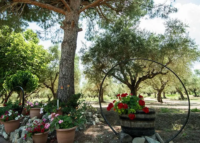 Paradise Vezal 4* Laganas