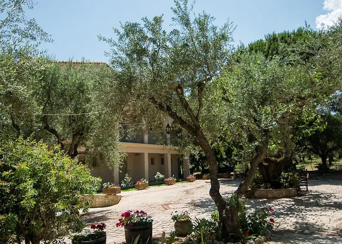 Paradise Vezal 4*