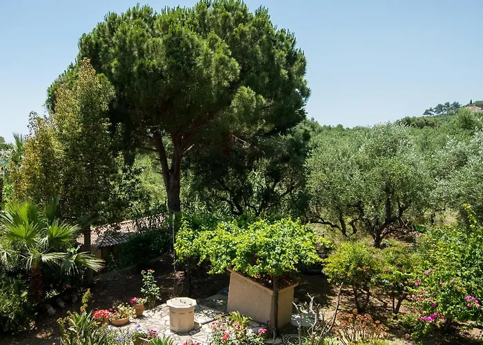 Paradise Vezal Hotel apartamentowy 4*
