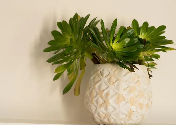 Aparthotel Paradise Vezal 4*